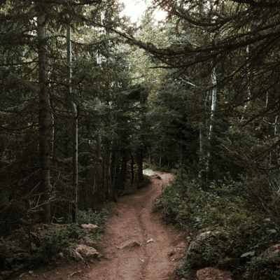 Contact us illustration